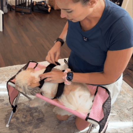 Pawella Grooming Hammock